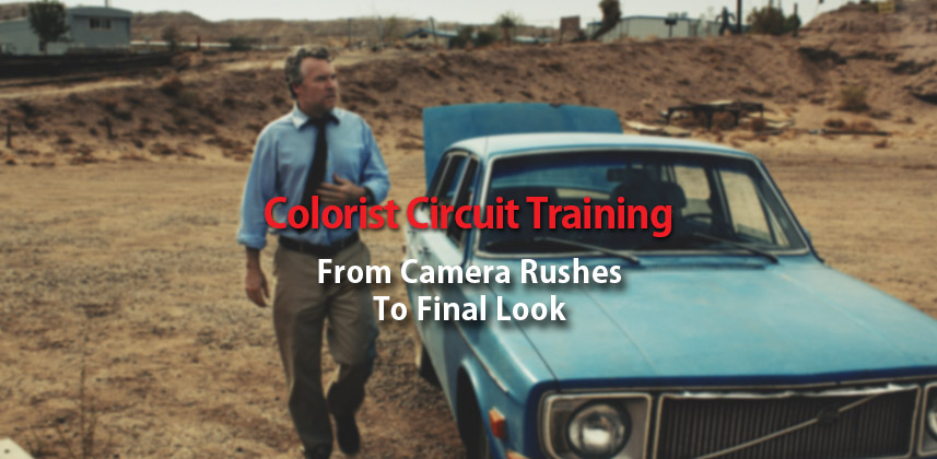 colorist training 