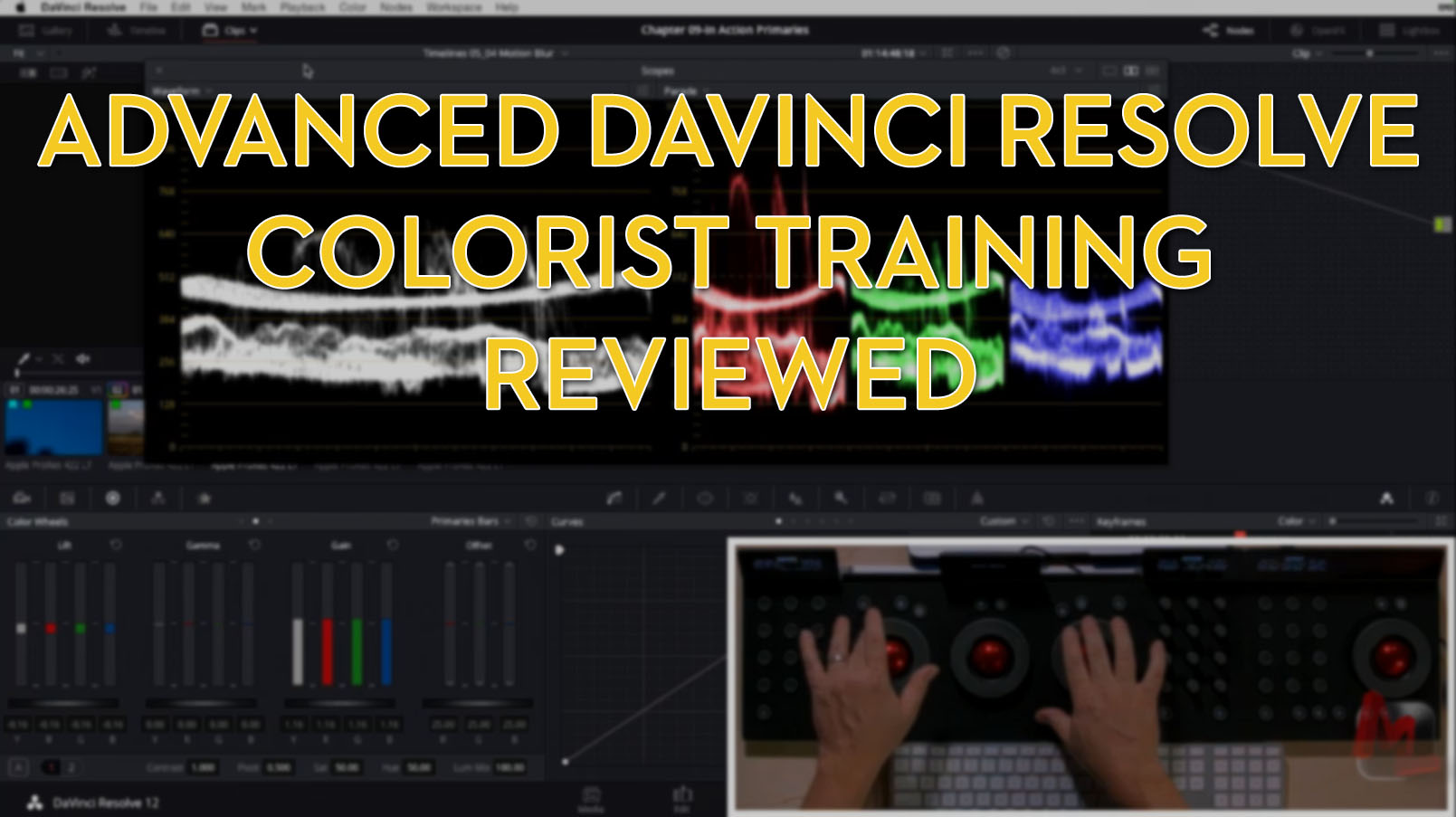 Advanced colorist training reviewed