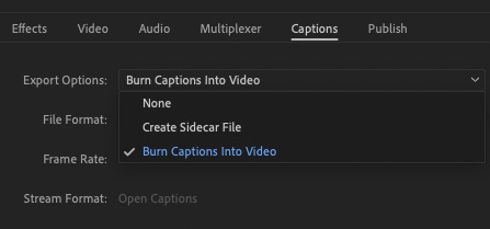 Export Captions in Premiere Pro